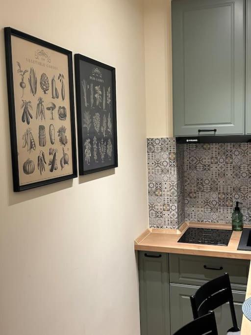 Alea Central Studio Art Museum Крайова Екстериор снимка
